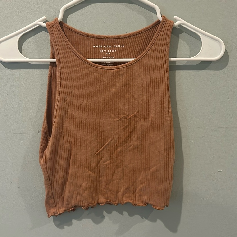 Brown/beige AE crop top